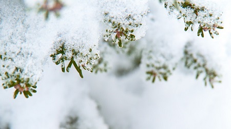 苹果cms幻灯图片设置教程